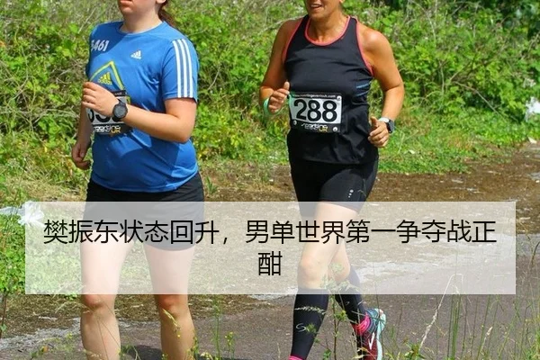 樊振东状态回升，男单世界第一争夺战正酣